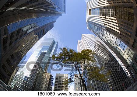 Tree in the middle of high rises View Large Photo Image Stock Photo - Tree in the middle of high rises. Fotosearch