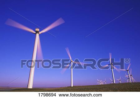 Wind farm in Alberta, Canada View Large Photo Image Picture - Wind farm in Alberta, Canada. Fotosearch