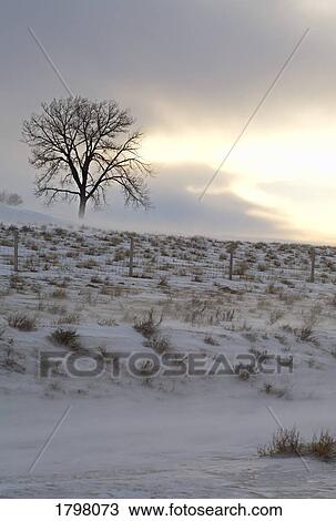 Stock Image - Winter landscape. Fotosearch