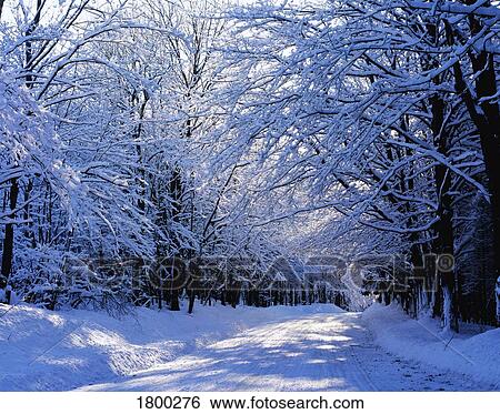 Stock Photograph - Winter road . Fotosearch