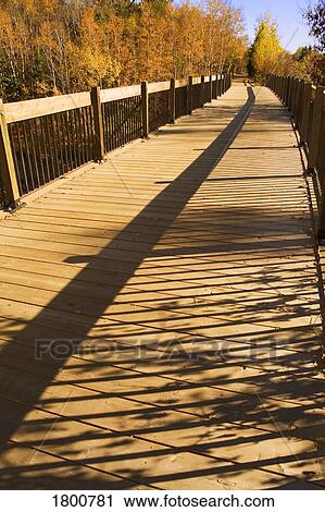 Stock Image - Wooden footbridge in autumn . Fotosearch