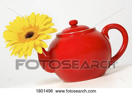 Stock Photograph - Yellow flower in a red teapot. Fotosearch