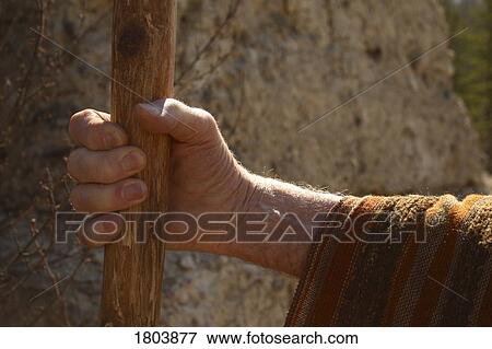 A hand holding a wooden cane View Large Photo Image Stock Photo - A hand holding a wooden cane. Fotosearch
