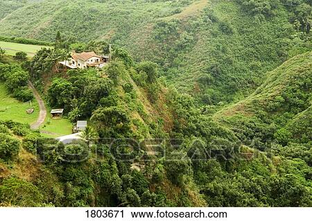 A house on a hill overlooking jungle View Large Photo Image Stock Image - A house on a hill overlooking jungle . Fotosearch