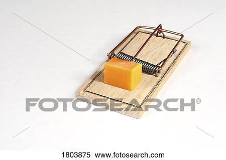 Stock Photography - A mouse trap with cheese. Fotosearch
