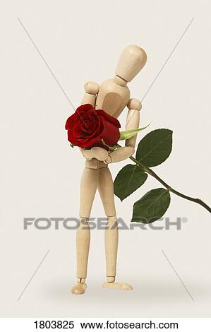 A wooden doll holding red rose View Large Photo Image Stock Photography - A wooden doll holding red rose. Fotosearch