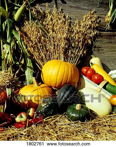 Stock Image - Autumn bounty of foods. Fotosearch