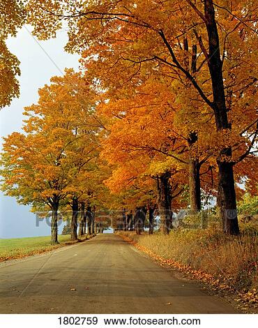 Stock Photo - Autumn road. Fotosearch