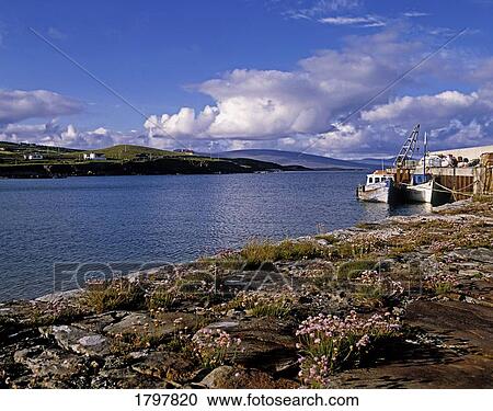 Ballytoohy Harbour, Clare Island, Co Mayo, Ireland View Large Photo Image Stock Image - Ballytoohy Harbour, Clare Island, Co Mayo, Ireland. Fotosearch