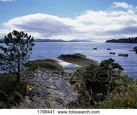 Bantry Bay, Co. Cork, Ireland View Large Photo Image Stock Image - Bantry Bay, Co. Cork, Ireland. Fotosearch