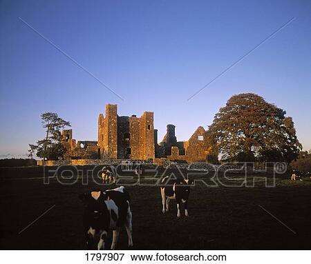 Bective Abbey in Ireland View Large Photo Image Stock Photo - Bective Abbey in Ireland. Fotosearch