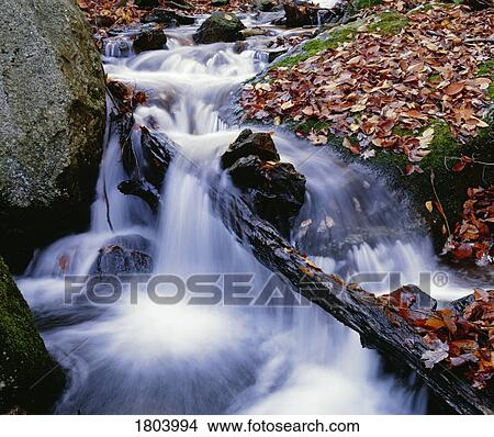Picture - Cascade with fall leaves. Fotosearch