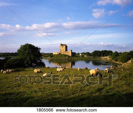 Castles, Dunguire Castle, Kinvarra, Co Galway, Ireland View Large Photo Image Stock Photograph - Castles, Dunguire Castle, Kinvarra, Co Galway, Ireland. Fotosearch