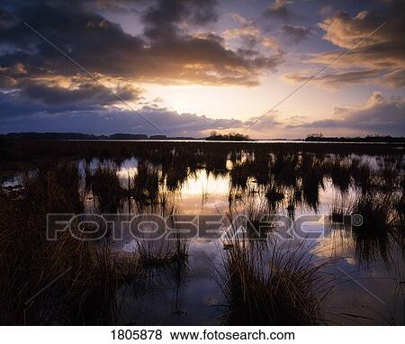 Co Antrim, Lough Beg, Near Toomebridge, Ireland View Large Photo Image Stock Photo - Co Antrim, Lough Beg, Near Toomebridge, Ireland. Fotosearch