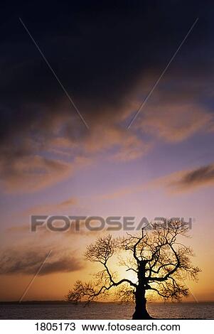 Co Antrim, Lough Neagh, Cranfield, Ireland View Large Photo Image Stock Image - Co Antrim, Lough Neagh, Cranfield, Ireland. Fotosearch