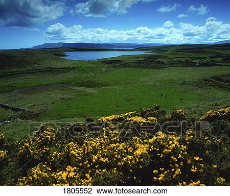 Co Antrim, Rathlin Island, Rathlin Towards Fairhead, Ireland View Large Photo Image Stock Image - Co Antrim, Rathlin Island, Rathlin Towards Fairhead, Ireland. Fotosearch