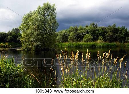 Co Armagh, Oxford Island, Lough Neagh, Ireland View Large Photo Image Stock Image - Co Armagh, Oxford Island, Lough Neagh, Ireland. Fotosearch