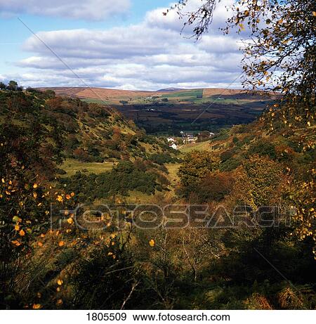 Co Armagh, Rural Road, Tree Lined Road In Autumn, Ireland View Large Photo Image Stock Photo - Co Armagh, Rural Road, Tree Lined Road In Autumn, Ireland. Fotosearch