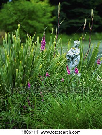 Co Carlow, Tullow, Altamont Gardens, Ireland View Large Photo Image Stock Image - Co Carlow, Tullow, Altamont Gardens, Ireland. Fotosearch