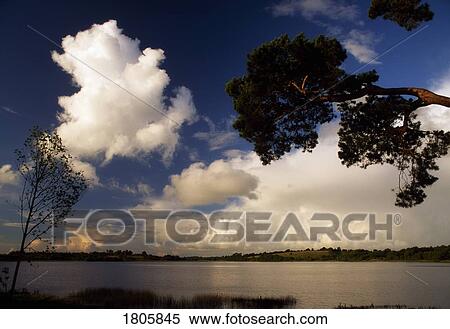 Co Cavan, Lakeshore, Ireland View Large Photo Image Stock Photography - Co Cavan, Lakeshore, Ireland. Fotosearch