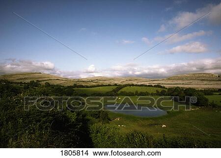 Co Clare, The Burren, Ireland View Large Photo Image Picture - Co Clare, The Burren, Ireland. Fotosearch