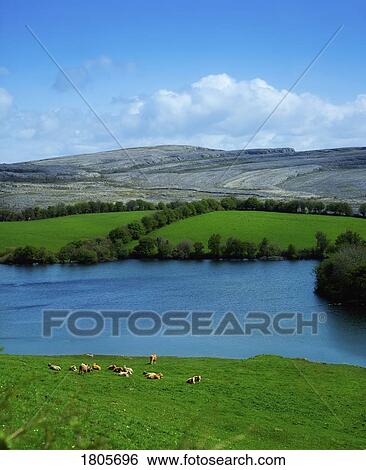 Co Clare, The Burren, Near Mullaghmore Mountain, (Turlough in foreground), Ireland View Large Photo Image Stock Photograph - Co Clare, The Burren, Near Mullaghmore Mountain, (Turlough in foreground), Ireland. Fotosearch