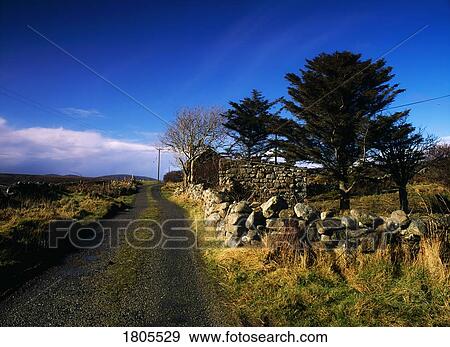 Co Donegal, Derrydruel, Lane & Stonewalls, House And Evergreens (Spring), Ireland View Large Photo Image Stock Photo - Co Donegal, Derrydruel, Lane & Stonewalls, House And Evergreens (Spring), Ireland. Fotosearch