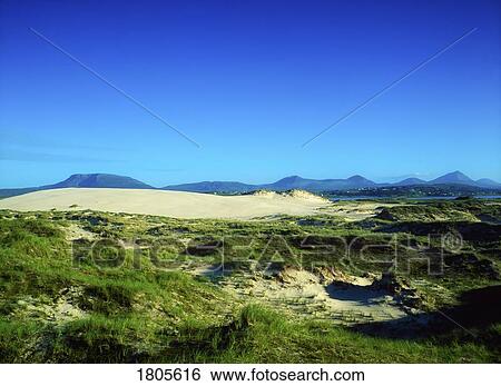 Co Donegal, Dune At Dooey, With Muckish & Mt. Errigal, Ireland View Large Photo Image Stock Photograph - Co Donegal, Dune At Dooey, With Muckish & Mt. Errigal, Ireland. Fotosearch