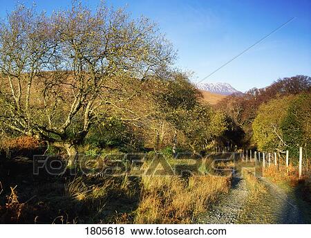 Co Donegal, Glenveagh, With Muckish In Backround, Ireland View Large Photo Image Stock Photo - Co Donegal, Glenveagh, With Muckish In Backround, Ireland. Fotosearch