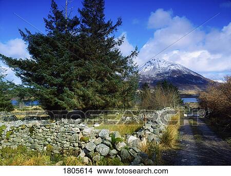 Co Donegal, Mt. Errigal, Seen Along Lane with Stone Wall, Ireland View Large Photo Image Picture - Co Donegal, Mt. Errigal, Seen Along Lane with Stone Wall, Ireland. Fotosearch