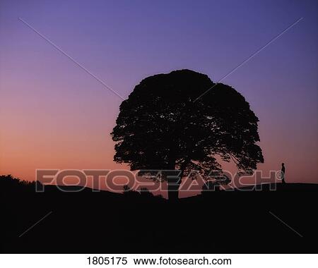 Stock Photography - Co Down, Giant's Ring, Ireland. Fotosearch