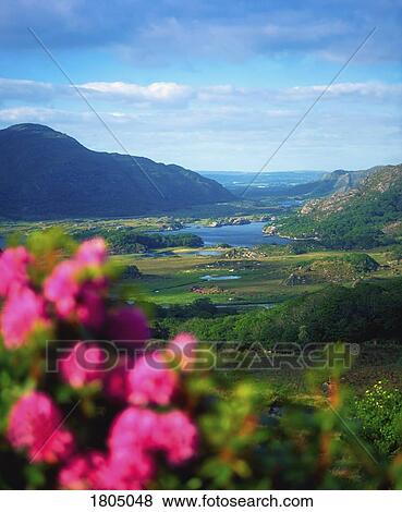 Co Kerry, Killarney, Ladies View, Ireland View Large Photo Image Stock Photo - Co Kerry, Killarney, Ladies View, Ireland. Fotosearch