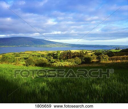Co Leitrim, Lough Allen from near Arigna, Ireland View Large Photo Image Stock Photo - Co Leitrim, Lough Allen from near Arigna, Ireland. Fotosearch