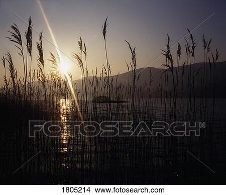 Co Sligo, Glencar Lough, Ireland View Large Photo Image Picture - Co Sligo, Glencar Lough, Ireland. Fotosearch