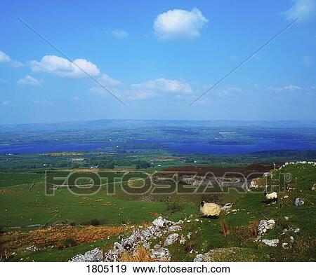 Stock Photo - Co Sligo, Near Carrowkeel, Overlooking Lough Arrow, Ireland. Fotosearch