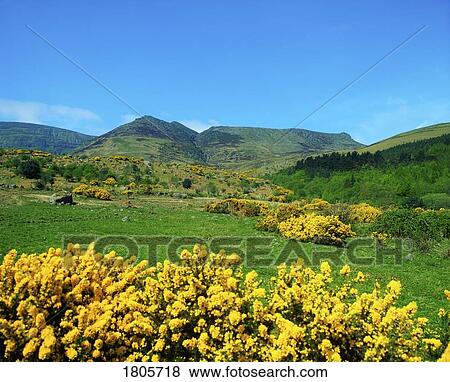 Co Waterford, Comeragh Mountains, Near Crottys Rock, Ireland View Large Photo Image Stock Photo - Co Waterford, Comeragh Mountains, Near Crottys Rock, Ireland. Fotosearch