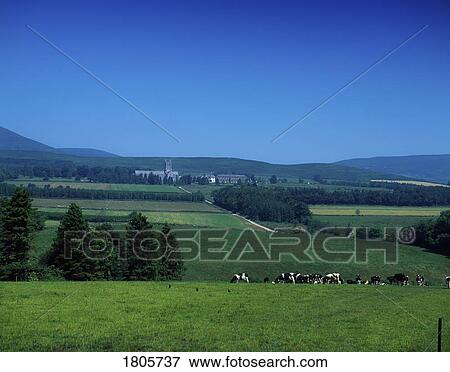 Co Waterford, Mount Melleray Monastery At Foot Of Knockmealdown Mountain, Ireland View Large Photo Image Stock Photo - Co Waterford, Mount Melleray Monastery At Foot Of Knockmealdown Mountain, Ireland. Fotosearch