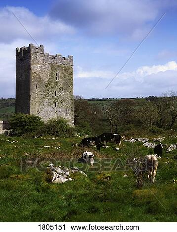 Co Wicklow, Roundwood, Vartry Reservoir, Ireland View Large Photo Image Stock Image - Co Wicklow, Roundwood, Vartry Reservoir, Ireland. Fotosearch