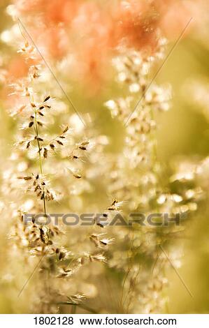 Colors of nature View Large Photo Image Stock Photo - Colors of nature. Fotosearch