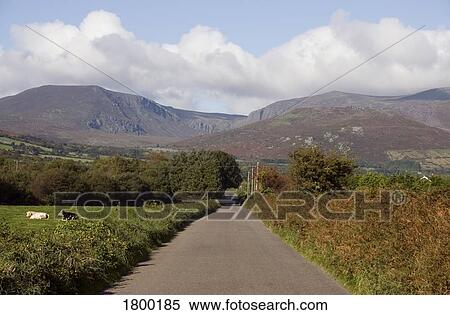 Stock Photography - Country Road & Comeragh's, Near Mahon Bridge, Co Waterford, Ireland. Fotosearch