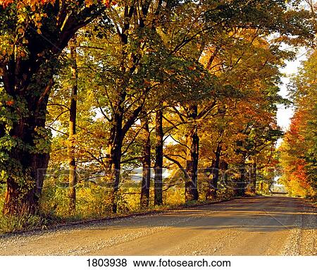 Country road View Large Photo Image Stock Photo - Country road. Fotosearch