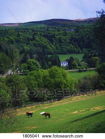 Stock Image - County Wicklow, Vale of Avoca, Ireland. Fotosearch