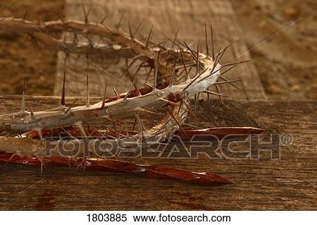 Stock Photography - Crown of thorns. Fotosearch