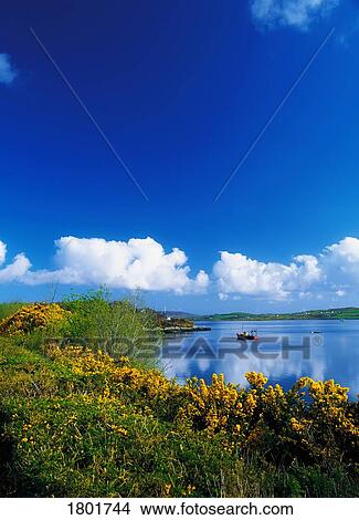 Picture - Donegal, Mulroy bay, . Fotosearch