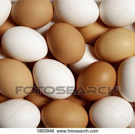 Eggs View Large Photo Image Stock Photograph - Eggs. Fotosearch
