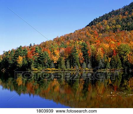 Fall colors reflected off lake View Large Photo Image Stock Photo - Fall colors reflected off lake. Fotosearch