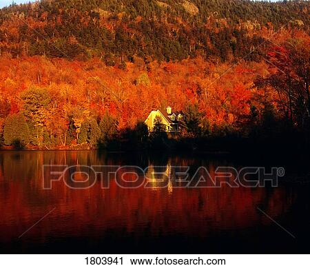 Fall colours and cottage reflected in lake View Large Photo Image Stock Image - Fall colours and cottage reflected in lake. Fotosearch