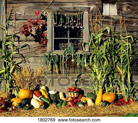 Stock Photo - Fall harvest scene. Fotosearch