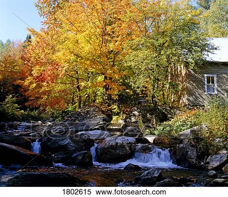 Fall tree on a rocky river with a cabin View Large Photo Image Stock Photography - Fall tree on a rocky river with a cabin. Fotosearch