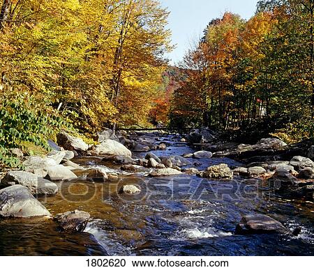 Fall trees lining a river View Large Photo Image Stock Image - Fall trees lining a river. Fotosearch